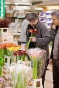 MIN RUNGIS-Fleurs-50